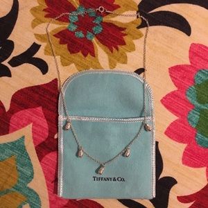 Tiffany & Co. Elsa Peretti Teardrop Necklace